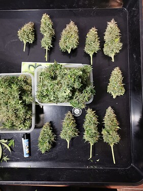 Growreport Bild 9