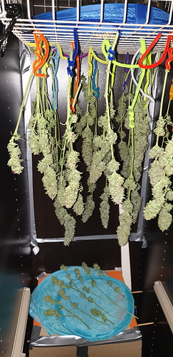 Growreport Bild 5