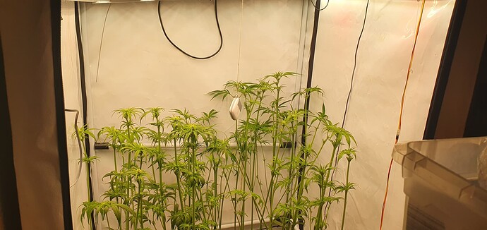 Growreport Bild 10