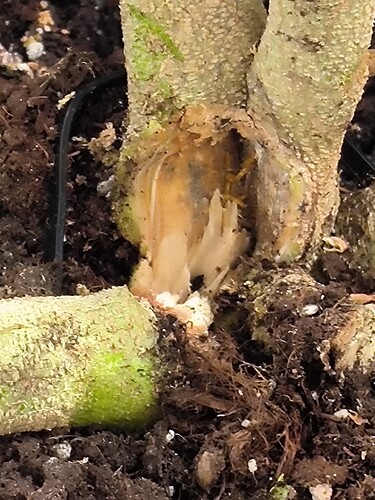 Growreport Bild 11