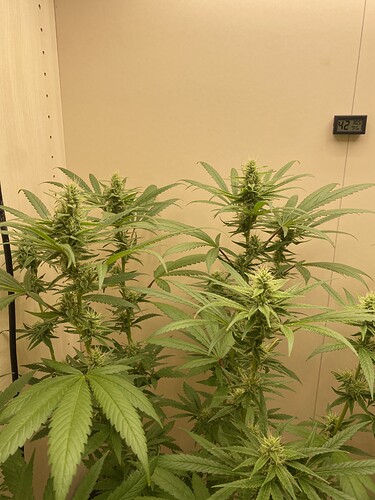 Growreport Bild 19