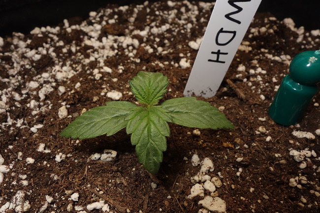 Growreport Bild 12