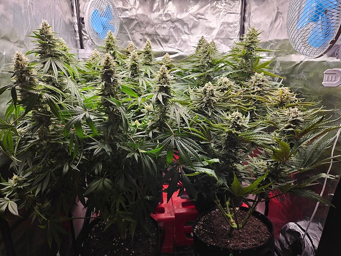 Growreport Bild 22