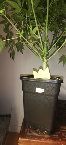 Growreport Bild 10