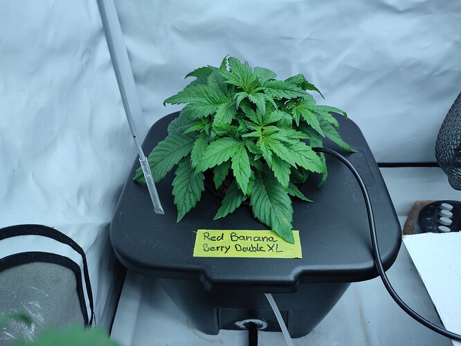 Growreport Bild 13