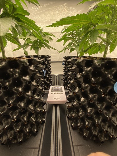 Growreport Bild 2
