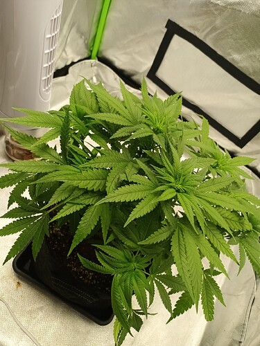 Growreport Bild 12