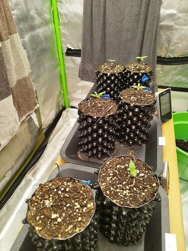 Growreport Bild 7