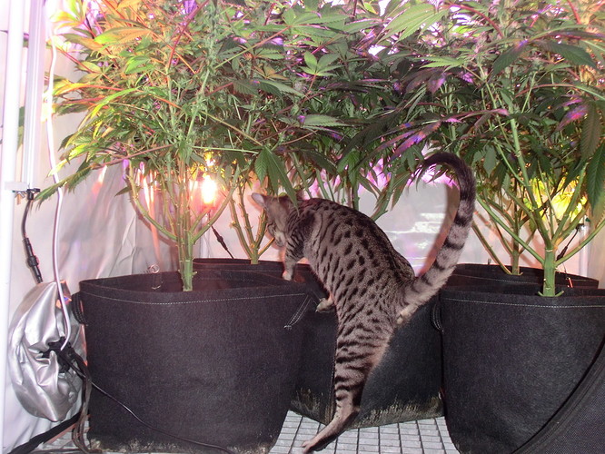 Growreport Bild 13
