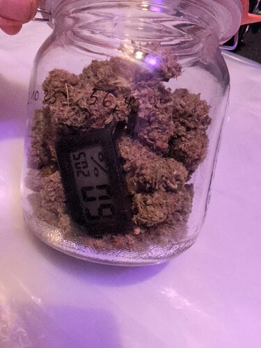 Growreport Bild 3