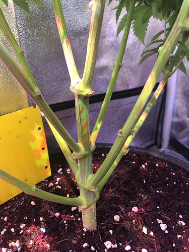 Growreport Bild 23