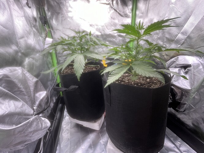 Growreport Bild 8