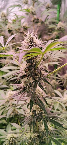 Growreport Bild 11