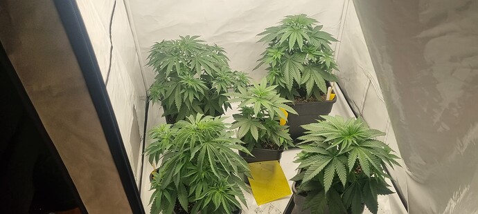 Growreport Bild 23