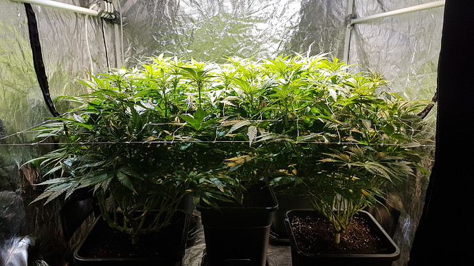 Growreport Bild 3