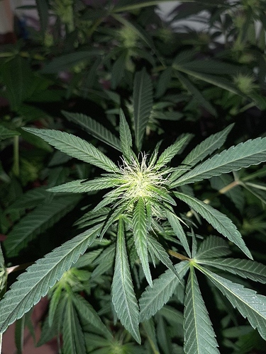 Growreport Bild 12