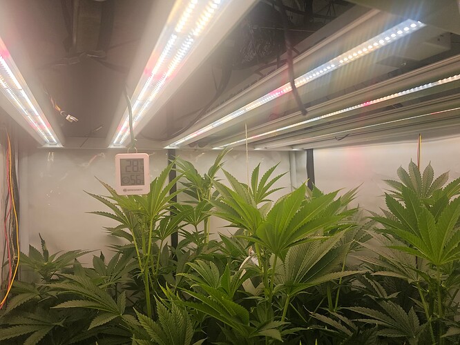 Growreport Bild 1