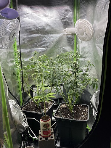 Growreport Bild 7