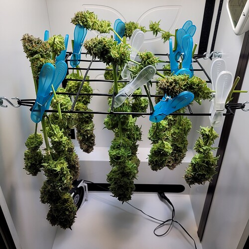 Growreport Bild 12