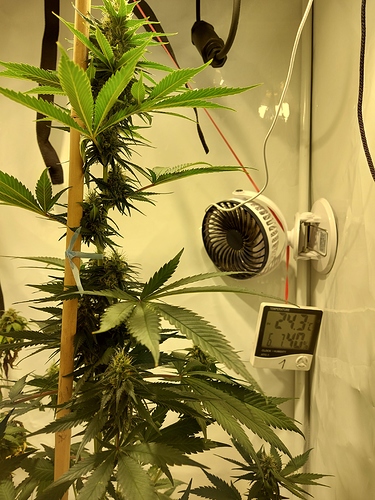 Growreport Bild 11