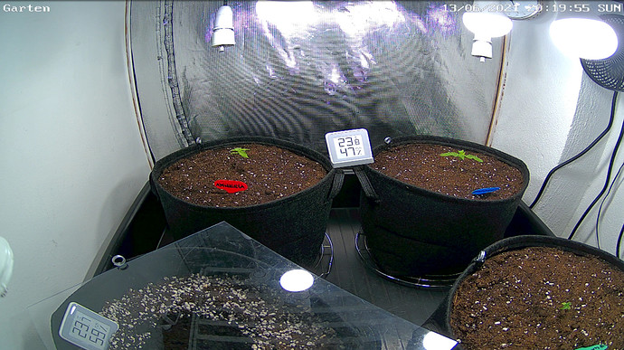 Growreport Bild 14