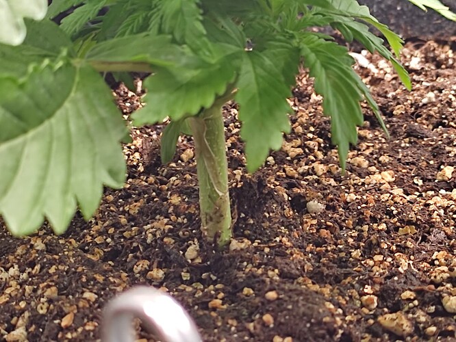 Growreport Bild 28