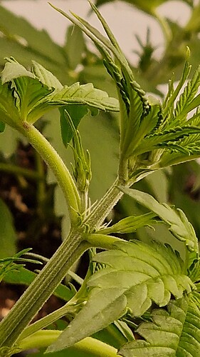 Growreport Bild 8