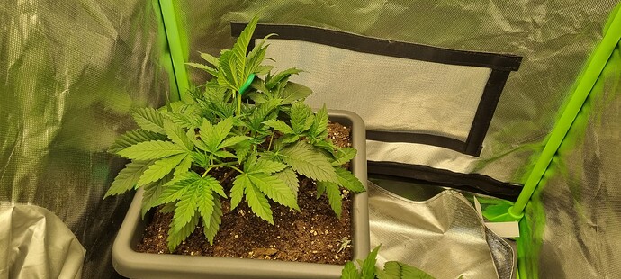 Growreport Bild 12