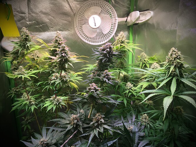 Growreport Bild 11