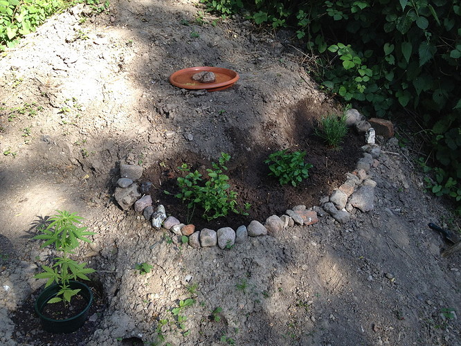 Growreport Bild 7