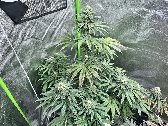 Growreport Bild 19