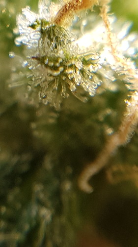 20210214_184035