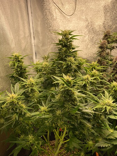 Growreport Bild 10