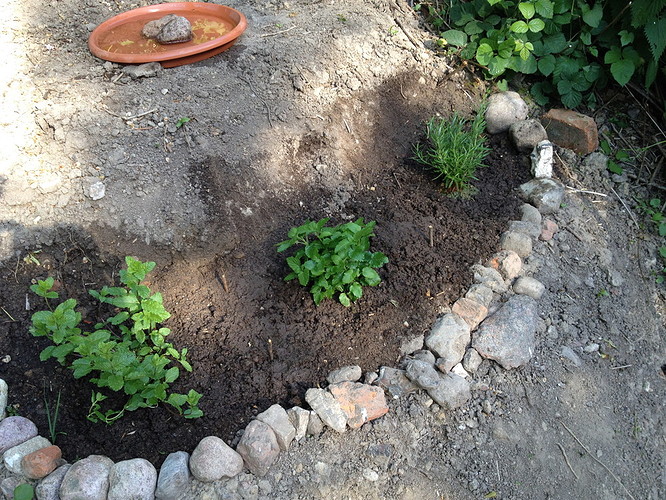 Growreport Bild 8