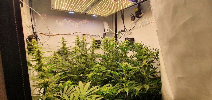 Growreport Bild 1