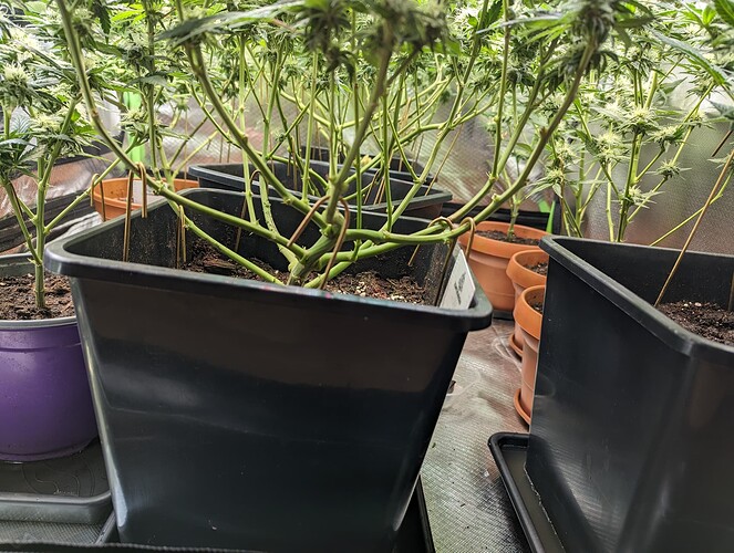 Growreport Bild 8