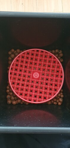 Growreport Bild 4