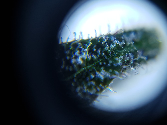 Growreport Bild 11