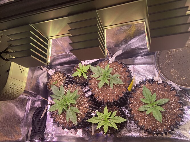 Growreport Bild 14
