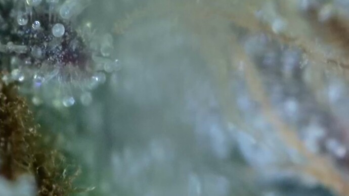 2022-06-25-033216303