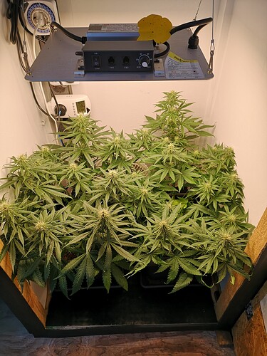 Growreport Bild 7