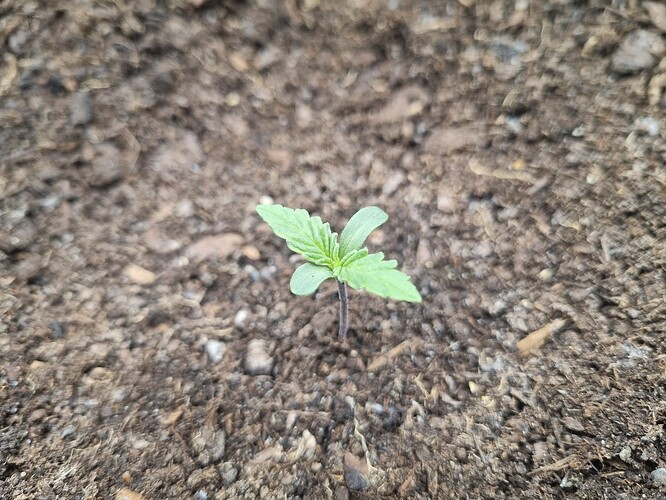 Growreport Bild 12
