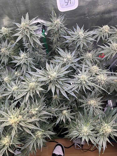 Growreport Bild 24