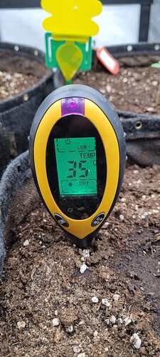 Growreport Bild 2