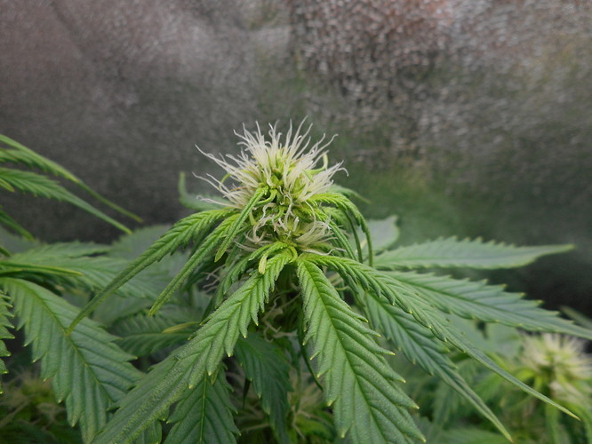 Growreport Bild 14