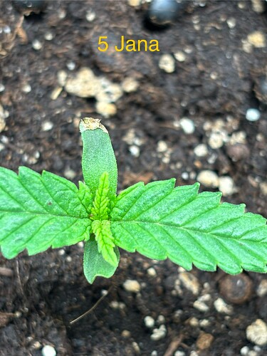 Growreport Bild 29
