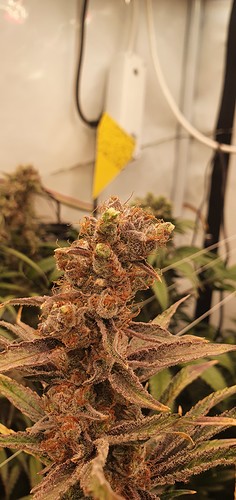 Growreport Bild 10