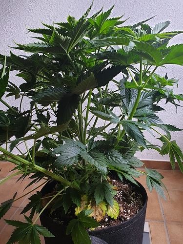 Growreport Bild 9