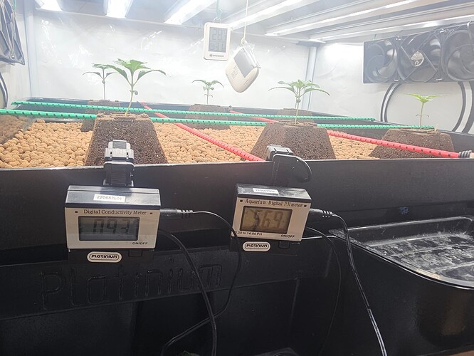 Growreport Bild 20