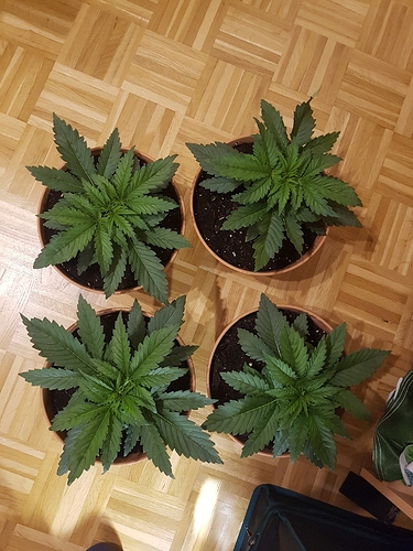 Growreport Bild 10